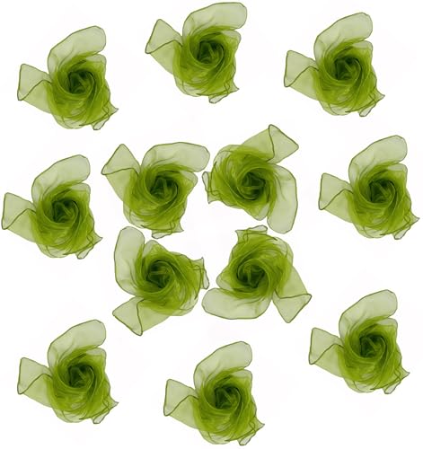 Lolakee Dance Scarves 12 Pcs Juggling Scarves for Kids Play Silk Scarve for Babies Toddlers Children Movement Learning Education Musical Accessories Colorful Scarfs Magic Tricks Performance Army Green - Image 1