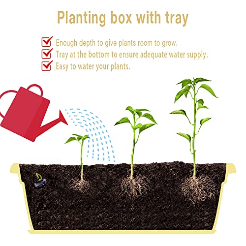 HOXHA 6 Pack Window Box Planter, 17 Inches Vegetable Flower Plastic Planter Boxes with Tray, Rectangular Planter Indoor and Outdoor Flower Pots for Windowsill, Patio, Porch, Garden Balcony, Yellow - Image 4