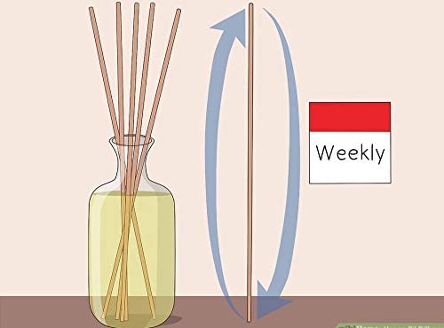 Pure Source India Reed Sticks 20 Inch Pack of 100 Pcs - Image 5