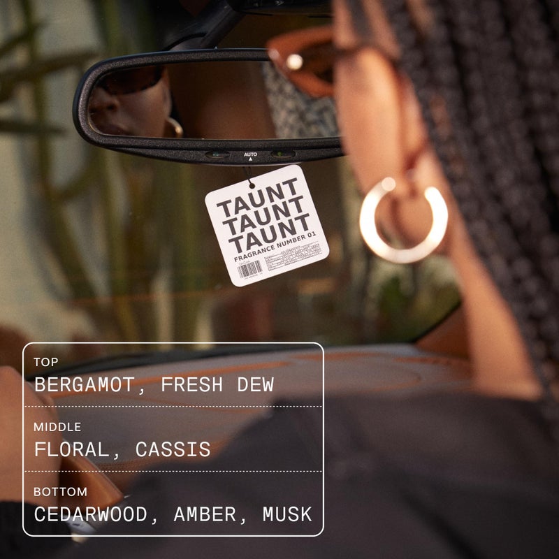 DedCool Air Freshener | 01 Taunt | Hanging Odor Eliminator for Cars, Closets & Drawers | Long-Lasting Essential Oil Infused Scent | Vegan, Non-Toxic, Cruelty-Free - Image 5