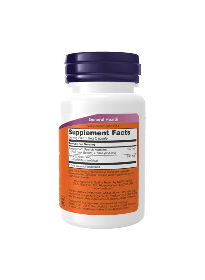 now مكملات غذائية، بيكنوجينول 100 ملغ (تركيبة فريدة من بروانثوسيانيدين من الصنوبر البحري الفرنسي) مع أملّا، 60 كبسولة نباتية - Image 2