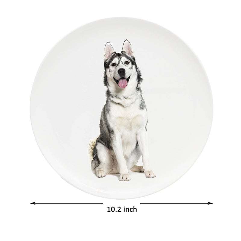Youngever 10 Inch Plastic Plates, Large Plates, Dinner Plates, Set of 9 (Dog Theme) - Image 3