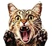 MAKTEM Funny Freaking Out 3D Dog Car Decal Cat Graphic Auto Decor Peeking Cute Cat Car Decal for Car Laptop Hard Case Electronic Window Mirror Kitty CAT - Image 2