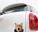 MAKTEM Funny Freaking Out 3D Dog Car Decal Cat Graphic Auto Decor Peeking Cute Cat Car Decal for Car Laptop Hard Case Electronic Window Mirror Kitty CAT - Image 3