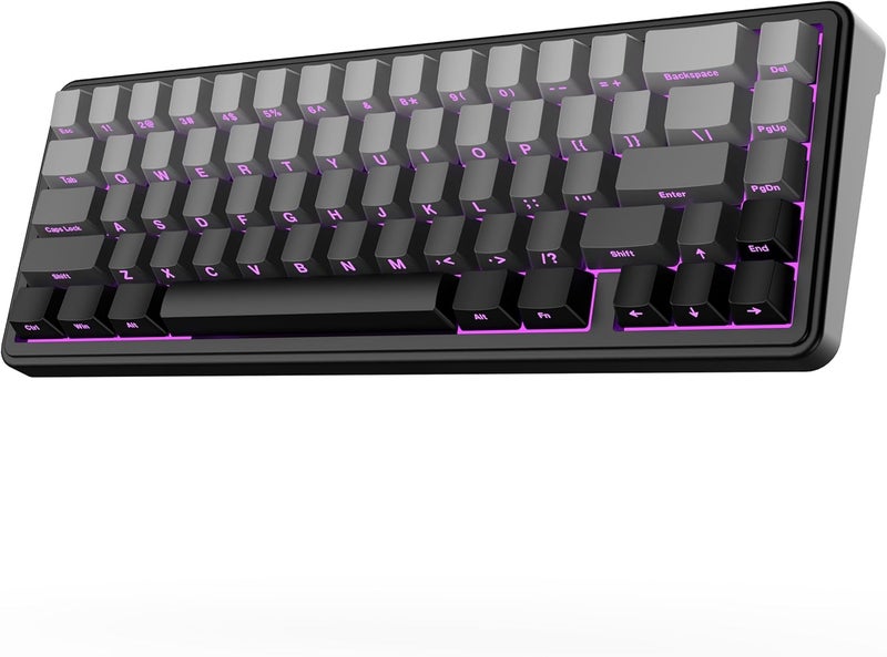 EPOMAKER x AULA F65 65% Wireless Mechanical Keyboard, Hot Swappable Gasket Custom Gaming Keyboard with Five-Layer Padding, RGB Backlit, Bluetooth/2.4GHz/USB-C (Black, Flamingo Switch) - Image 1