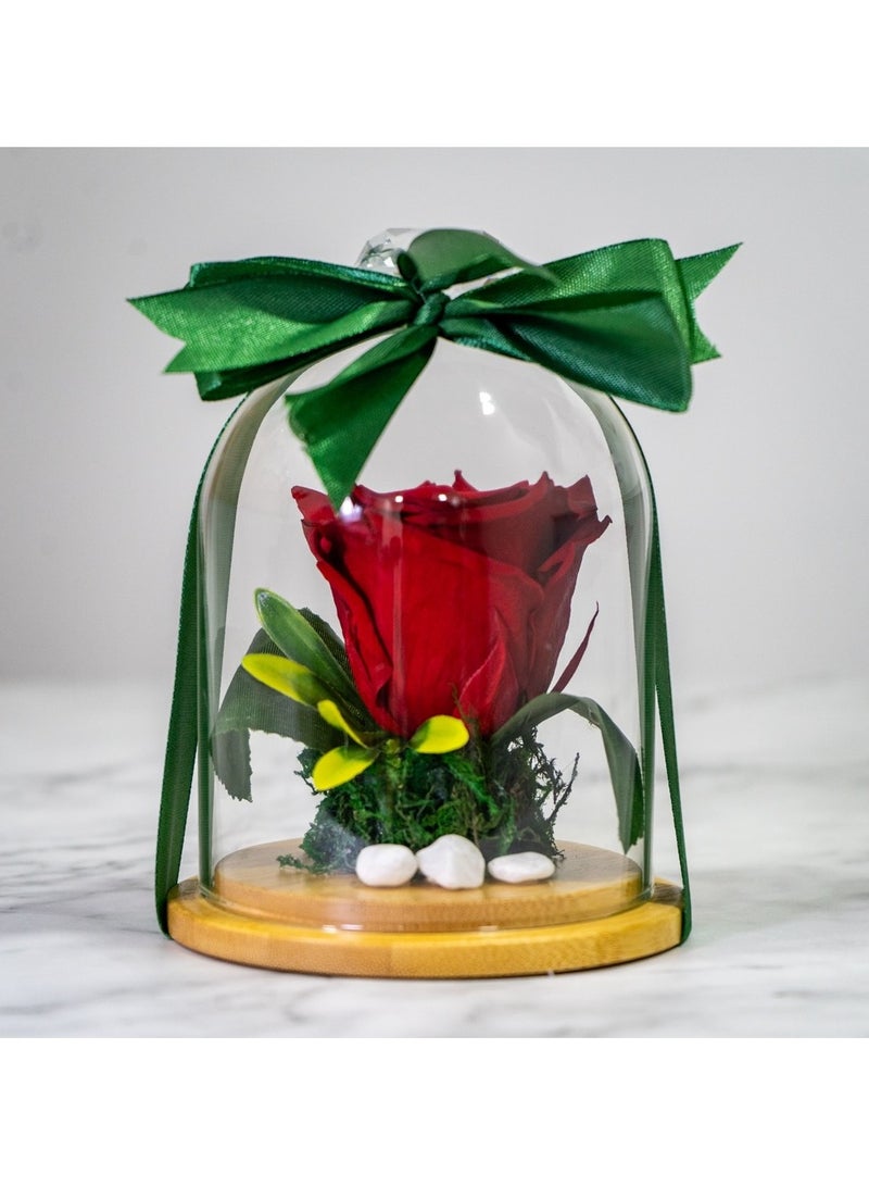   صوفيا طبيعة وردة إنفينيتي المحفوظة الأبدية- هدايا - Image 2