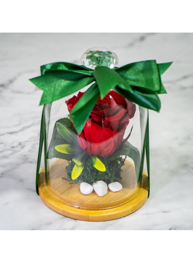   صوفيا طبيعة وردة إنفينيتي المحفوظة الأبدية- هدايا - Image 1