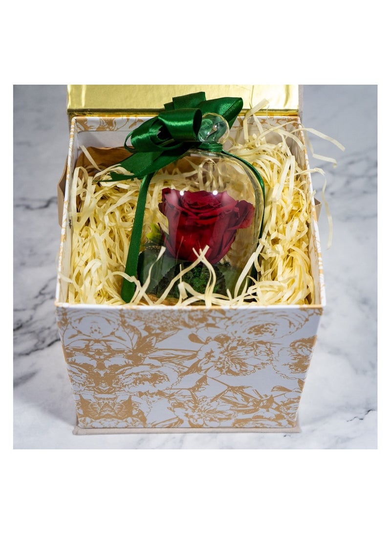   صوفيا طبيعة وردة إنفينيتي المحفوظة الأبدية- هدايا - Image 5