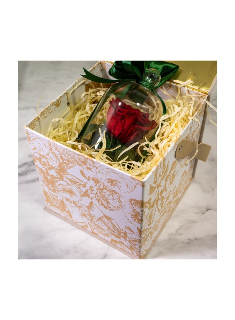   صوفيا طبيعة وردة إنفينيتي المحفوظة الأبدية- هدايا - Image 4