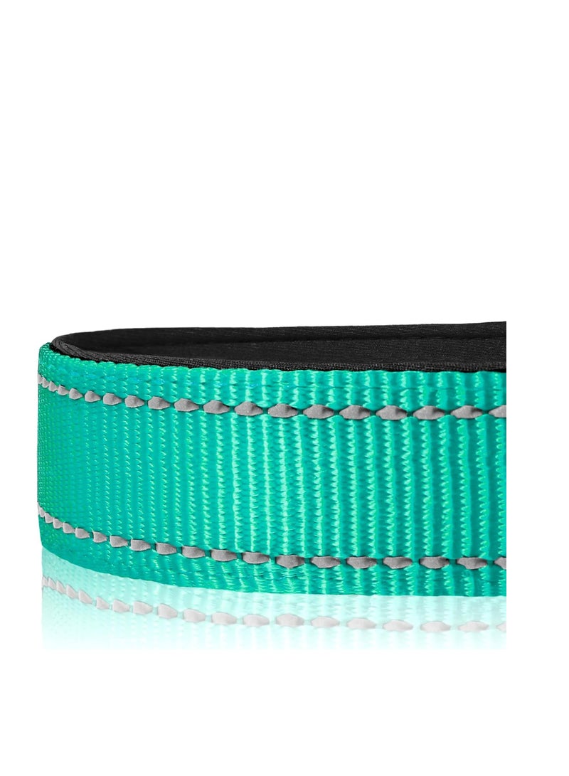 Joytale Joytale Reflective Dog Collar,Soft Neoprene Padded Breathable Nylon Pet Collar Adjustable for Large Dogs,Teal,LARGE  - Image 3
