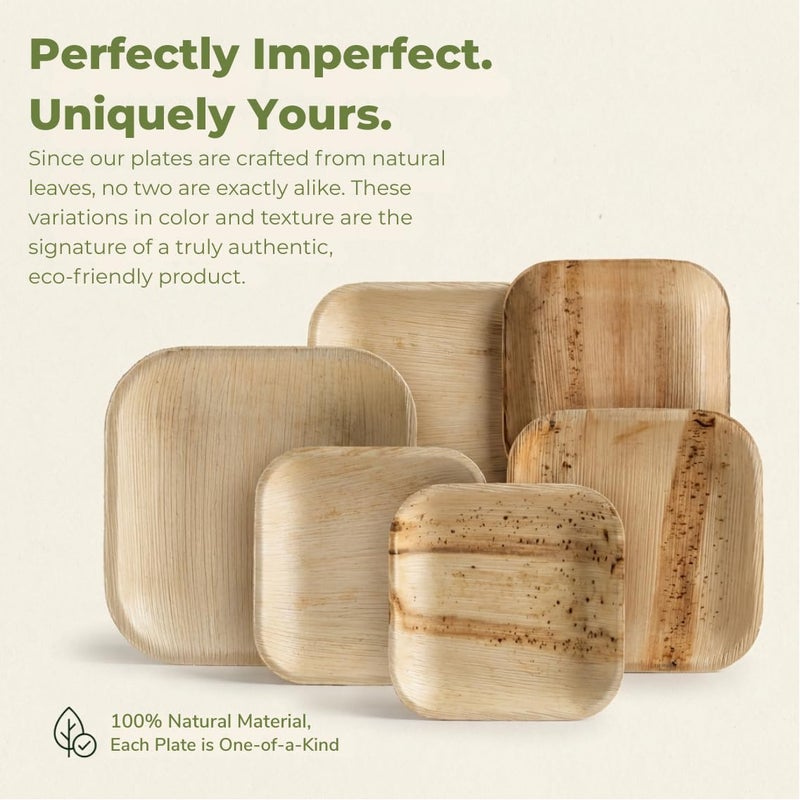 Koala love Palm Leaf Plates 4 Inch Bamboo Plate Disposable 100 Pack Small Dessert and Appetizer Square Party Plates Biodegradable Compostable Cocktail Better Than Paper Plate By KoalaLove - Image 4