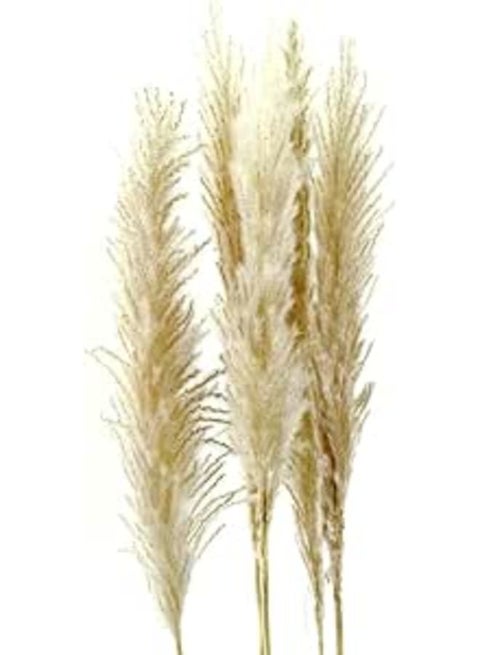 ORIGINAL stems pampas grass Decor - Tall Extra Fluffy - Faux Artificial Dried - Home Decor - Wedding - Flower Arrangement - Beige White Natural (3)