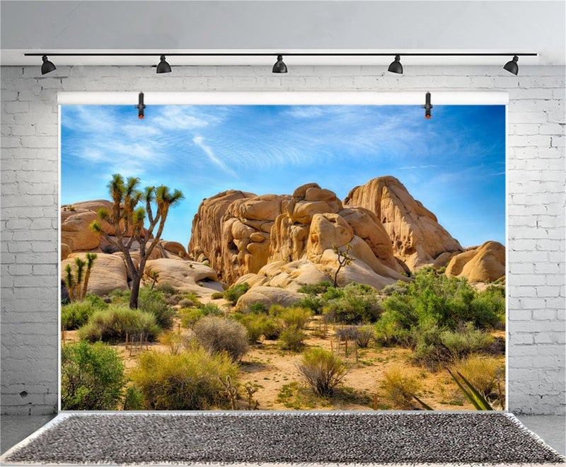 CSFOTO Polyester 5x3ft Joshua Tree National Park Backdrop Arid Barren Cactus Sandstone Rock Climate Mountain and Desert Scenery Backdrop Desert Terrarium Background - Image 2