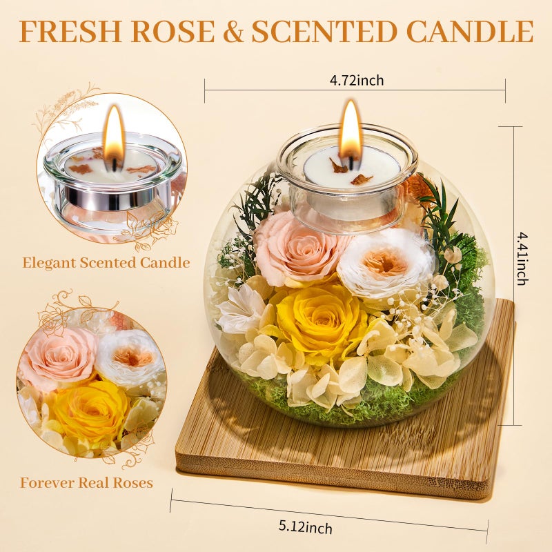 Pusuny Valentines Day Rose Gifts for Her Mom Women Birthday Flowers for Delivery Preserved Flowers in Glass Dome Forever Eternal Rose Birthday Valentine Gifts for Her Women Daughter Wife Girlfriend Champagne - Image 4