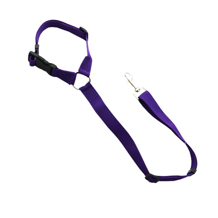 Loquat 2-in-1 Dog Lead Car Safety Belt Purple