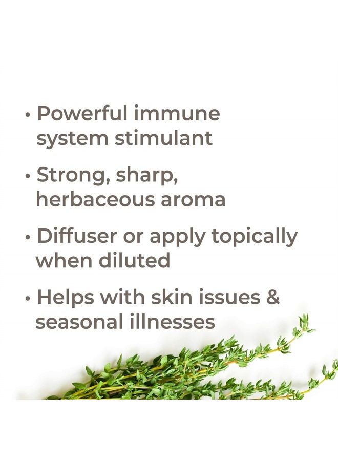 Plant Therapy Thyme Thymol Essential Oil 100% Pure, Undiluted, Natural Aromatherapy, Therapeutic Grade 10 Milliliter (1/3 Ounce) - Image 1