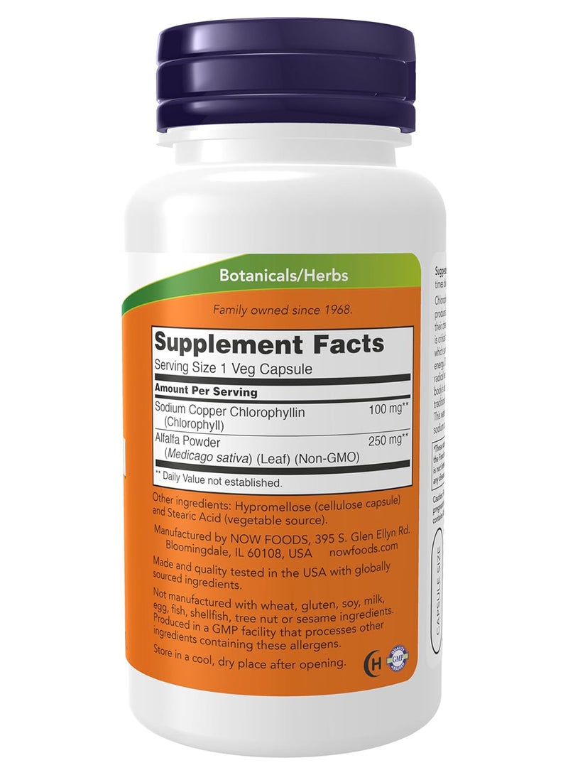 now Chlorophyll 100 Mg With Alfalfa Powder Green Superfood 90 Veg Capsules - Image 2