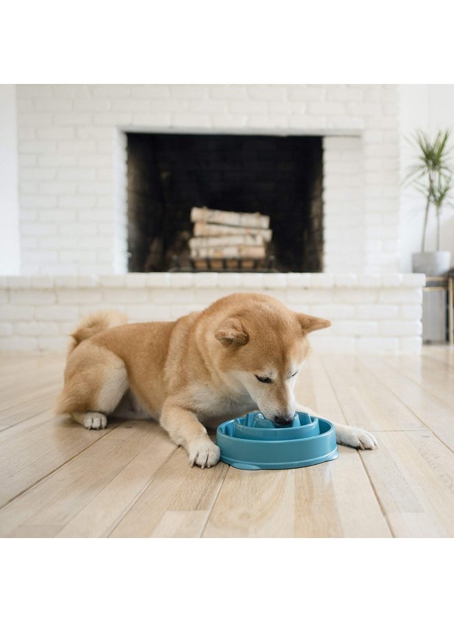 Fun Feeder Slo Bowl, Slow Feeder Dog Bowl, Medium/Mini, Turquoise - pzsku/ZDED456477A50AF6CD46AZ/45/_/1735214626/3effb412-f729-442f-bc3d-df54dd991f1d