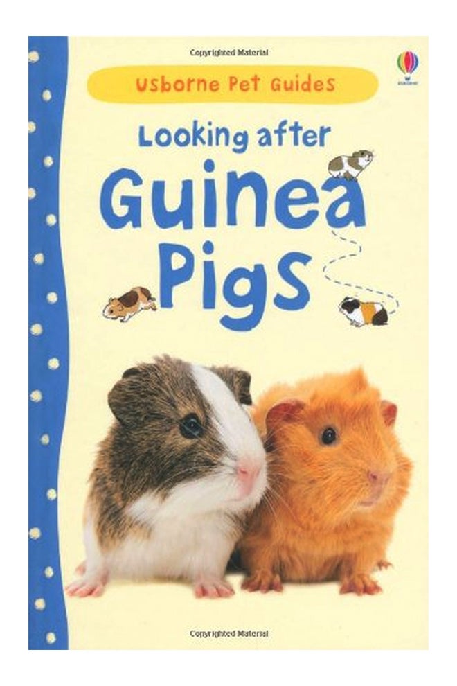 Looking After Guinea Pigs