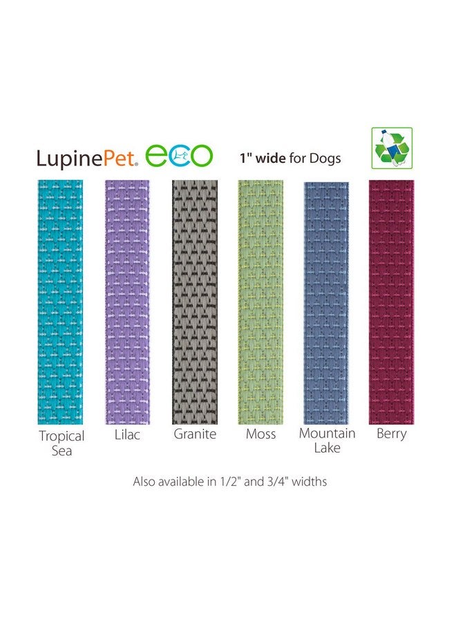 Lupine Dog Leash by Lupine ECO Collection 1" Wide Tropical Sea 4-Foot Long with Padded Handle - Image 2