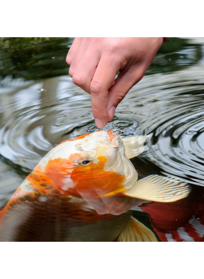 TetraPond Pond Sticks, Pond Fish Food, for Goldfish and Koi, 1.72 Pounds - Image 3