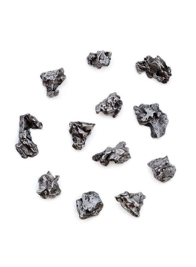 Dancing Bear Meteorite From Space 5 Pcs Campo Del Cielo From Argentina/Educational Card & Magnifying Box - Image 3