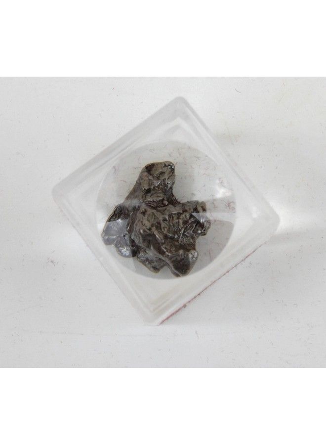 Dancing Bear Meteorite From Space 5 Pcs Campo Del Cielo From Argentina/Educational Card & Magnifying Box - Image 5