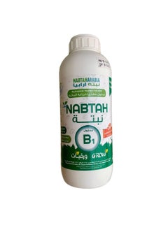 NABTAH نبتة ب1 