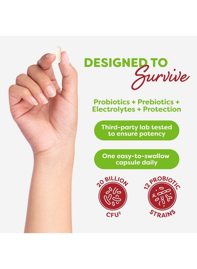 Probulin مكمل بروبيولين لدعم القولون، بروبيوتيك يومي، لصحة الأمعاء والهضم والمناعة، كبسولات بروبيوتيك للرجال والنساء، 20 مليار وحدة تشكيل مستعمرة، نباتي، زجاجة تحتوي على 90 كبسولة - Image 4