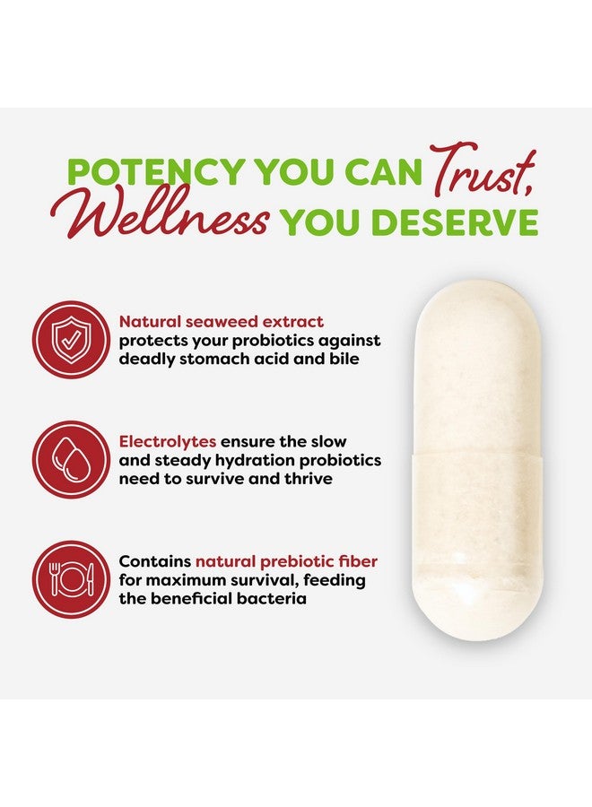 Probulin مكمل بروبيولين لدعم القولون، بروبيوتيك يومي، لصحة الأمعاء والهضم والمناعة، كبسولات بروبيوتيك للرجال والنساء، 20 مليار وحدة تشكيل مستعمرة، نباتي، زجاجة تحتوي على 90 كبسولة - Image 5