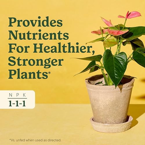Miracle-Gro Indoor Plant Food for All Plants, Liquid Plant Food for Houseplants, Flowers, Vegetables, Herbs, and More, 8 fl. oz., 2-Pack - Image 3