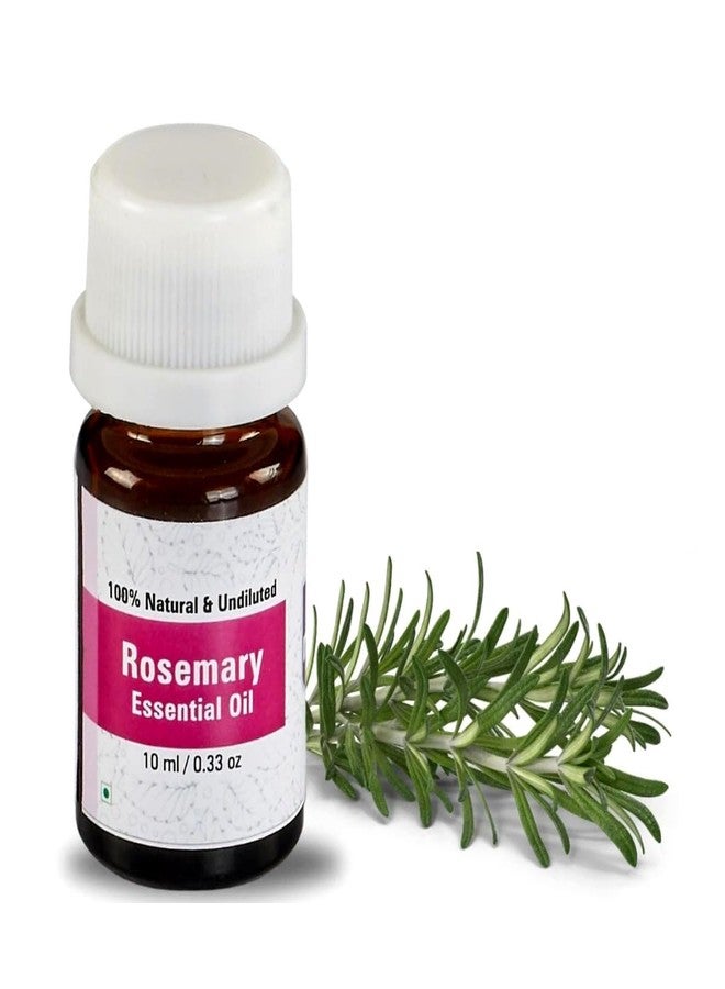 Nuvotone Rosemary Essential Oil | 100% Pure, Natural & Undiluted | Steam-Distilled | Hair Growth, Scalp Care, Aromatherapy & Skin | Therapeutic Grade (10ml) - Image 1