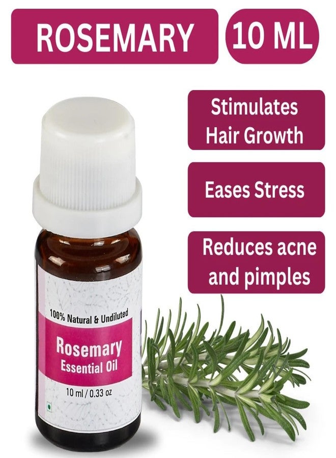 Nuvotone Rosemary Essential Oil | 100% Pure, Natural & Undiluted | Steam-Distilled | Hair Growth, Scalp Care, Aromatherapy & Skin | Therapeutic Grade (10ml) - Image 2
