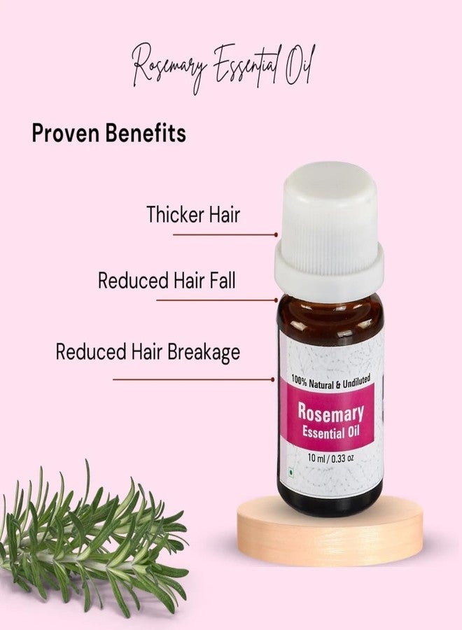 Nuvotone Rosemary Essential Oil | 100% Pure, Natural & Undiluted | Steam-Distilled | Hair Growth, Scalp Care, Aromatherapy & Skin | Therapeutic Grade (10ml) - Image 3