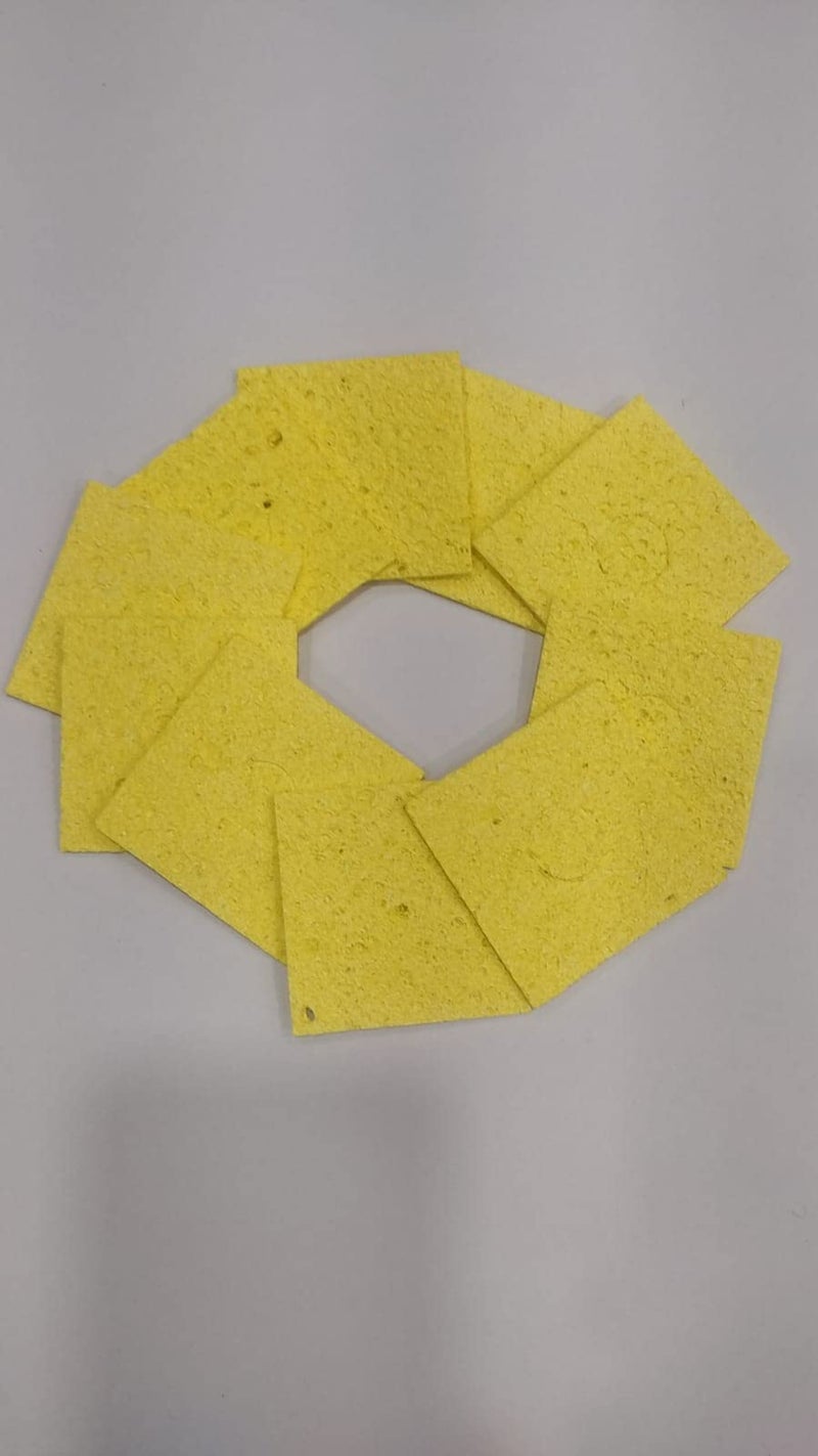 SPONGE (PACKOF10)