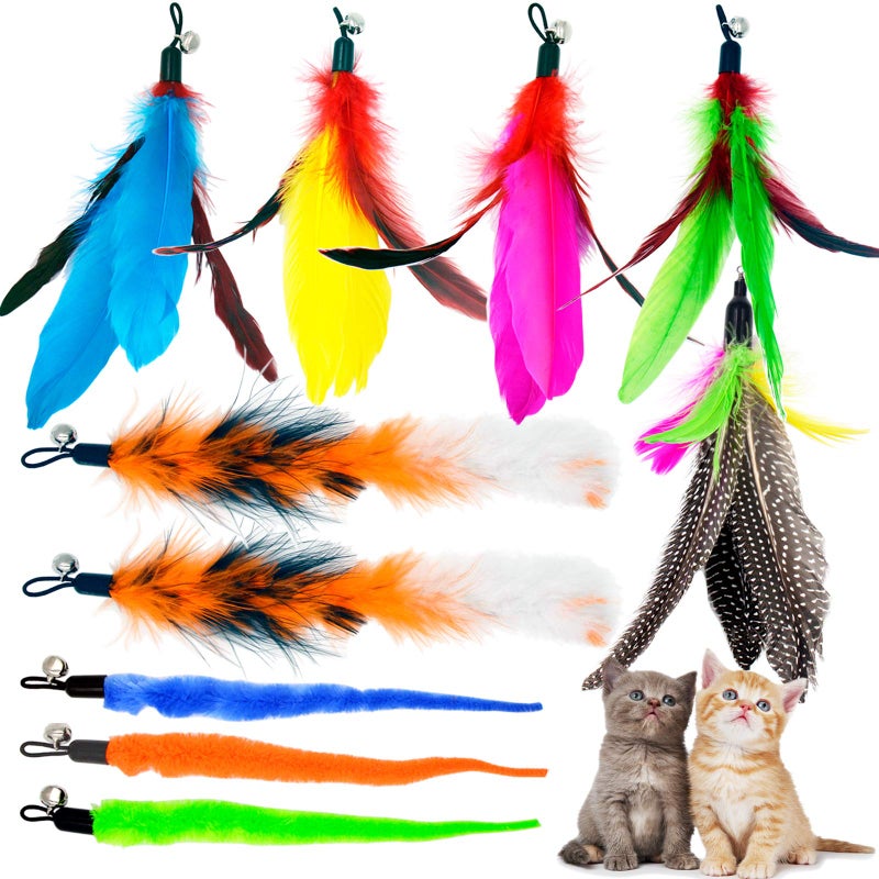 TIENAILING Cat Feather Toys Refills 10 Pieces Worms Feathers Refills Cat Wand Replacement Feathers Toy for Indoor Cats - Image 2