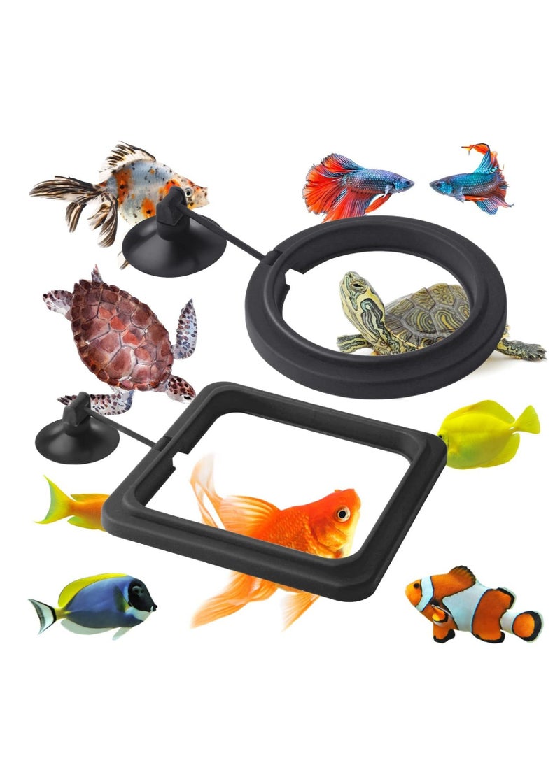 Generic Fish Feeding Ring, Fish Feeder Aquarium Fish Turtle Tank Accessories Food Feeder Circle 2 Pieces (black) - Image 1