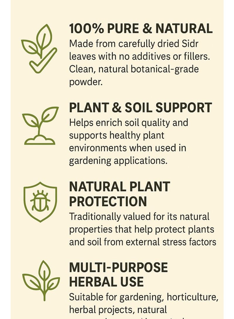 زهر مسحوق أوراق السدر - نقي 100% وعالي الجودة، مسحوق طبيعي من أوراق السدر/النبق/الزفيزف، مُنتقى يدويًا، للاستخدام في البستنة والزراعة ورعاية النباتات العشبية. - Image 5
