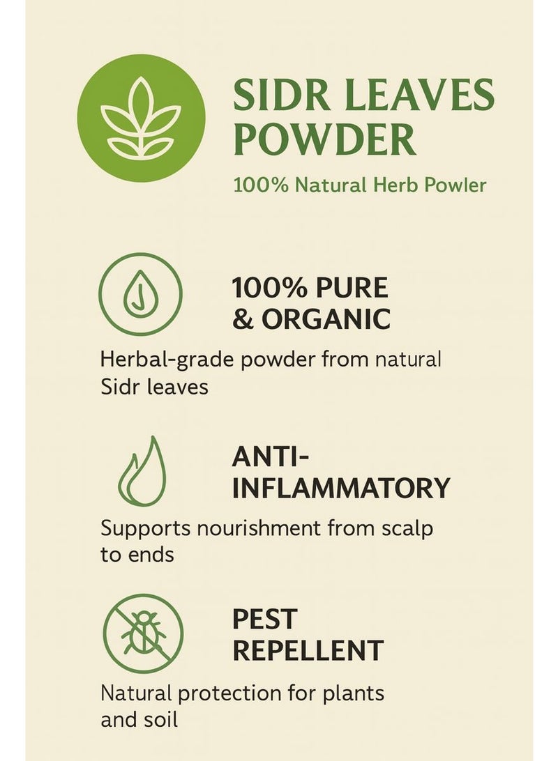 زهر مسحوق أوراق السدر - نقي 100% وعالي الجودة، مسحوق طبيعي من أوراق السدر/النبق/الزفيزف، مُنتقى يدويًا، للاستخدام في البستنة والزراعة ورعاية النباتات العشبية. - Image 4