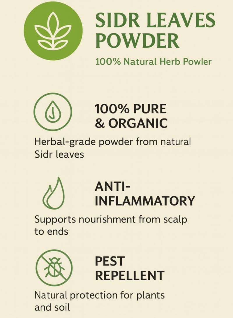 Zahr Sidr Leaves Powder (Waraq Sidr Powder) – Ziziphus Leaves | Sidr Plant Powder – Premium Natural Fine Powder | 100% Pure for Gardening, Horticulture, Botanical & Herbal Use - Image 4