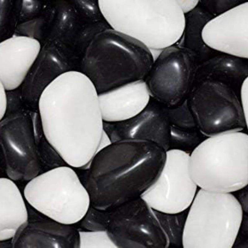 TRADESK Anky Multicolor Stones for Home Outdoor Decoration Art Craft Vase Fillers Aquarium Fish Tank Garden Lawn MultiPurpose Unplanted 500Gm Black and White - Image 1