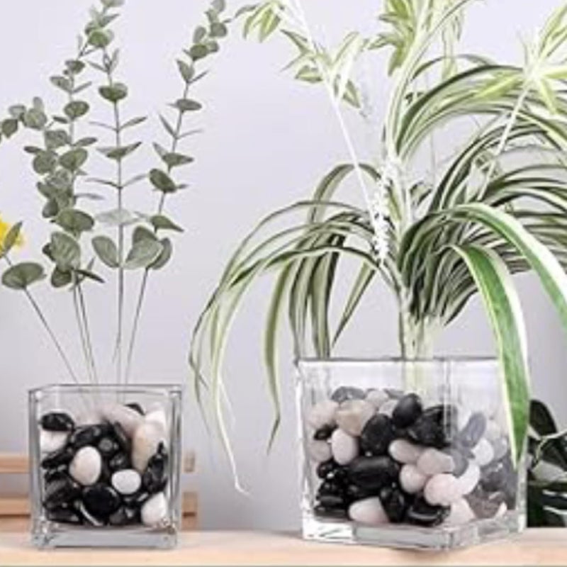 TRADESK Anky Multicolor Stones for Home Outdoor Decoration Art Craft Vase Fillers Aquarium Fish Tank Garden Lawn MultiPurpose Unplanted 500Gm Black and White - Image 4