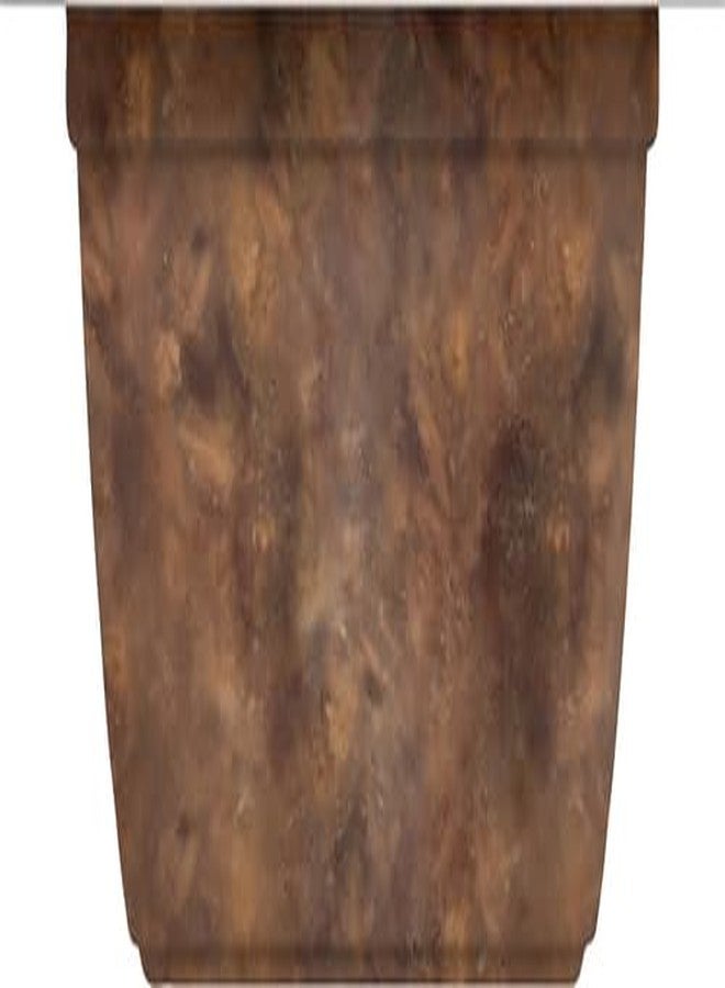 راتشل راي طعام القطط الرطب الطبيعي الخالي من الحبوب من رايتشل راي نوتريش بيرفكت إنتريز، بنكهة التونة الصفراء والخضراوات، 2 أونصة - Image 4