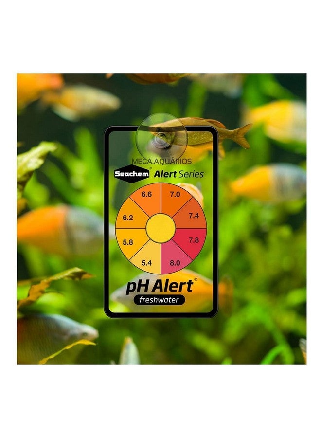 سي تشيم مجموعة تنبيهات كومبو، شاشتين، عدد 2 (عبوة من قطعة واحدة) - Image 4