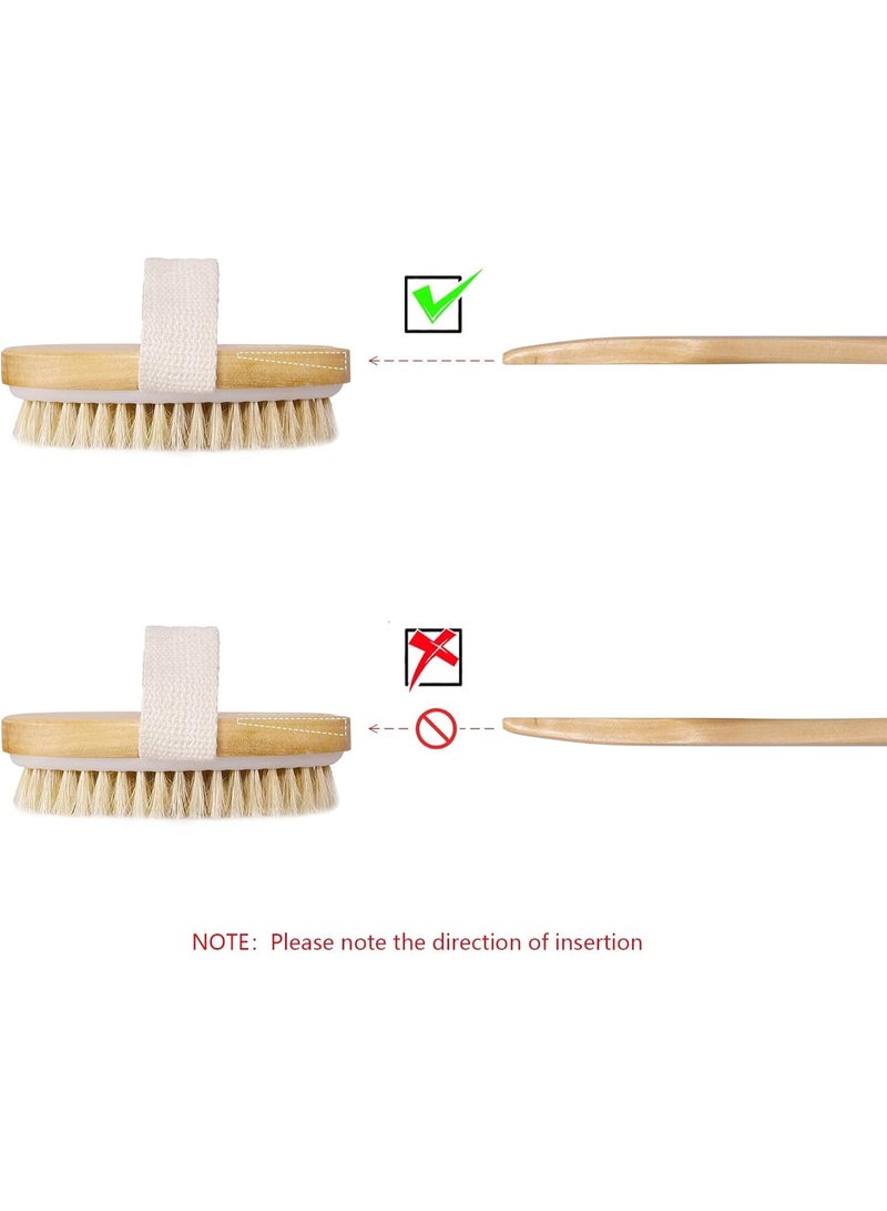 Dry Brushing Body Brush Set of 2, Natural Bristle Dry Skin Exfoliating Brush, Long Handle Back Scrubber for Shower, Dry Brush for Cellulite and Lymphatic Massage, Improve Blood Circulation - Image 5