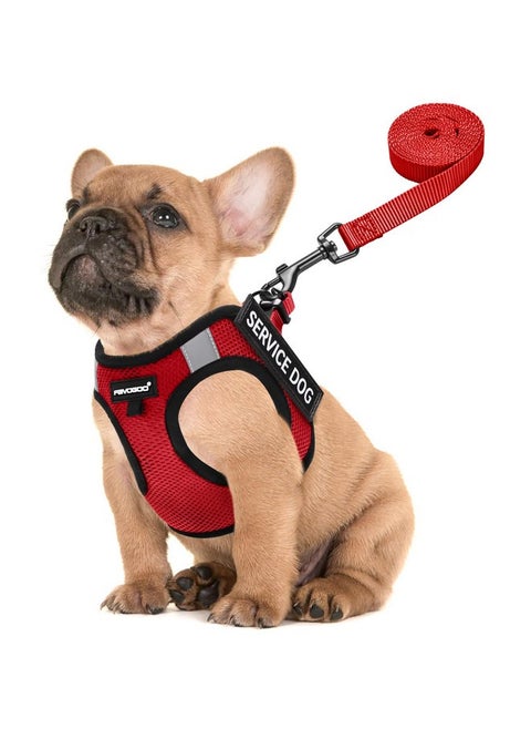 FAYOGOO Service Dog Vest for Small Breed - Lightweight Dog Harness with 6PCS Removable Patches - Puppy Harness and Leash Set for Walking,Training