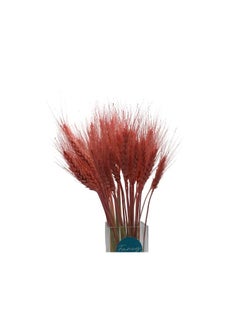 Generic Fancy Dried Wheat Flowers Sheaves Dry Wheat Grass Bouquet Dried Wheat Grass Bundle Naturel Wheat Dried Flowers Home Kitchen Church Table Wedding Wreath Decoration Multicolour  - Image 3