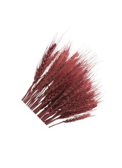 Generic Fancy Dried Wheat Flowers Sheaves Dry Wheat Grass Bouquet Dried Wheat Grass Bundle Naturel Wheat Dried Flowers Home Kitchen Church Table Wedding Wreath Decoration Multicolour  - Image 4
