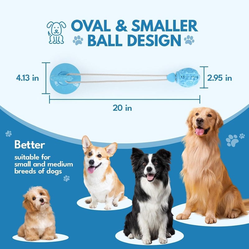 LINJIE Temp fluctuation resistant crafted quality LinJie Dogs Toys,Dogs Chew Toys,Suction Cup dog Toy,Specially Designed For Small And Medium-Sized dog Breeds Well As Adult dogs/Durable And Tough/Apply To Training/Treatment/Chew/Alpinia Oxyphylla. Multi option design - Image 5