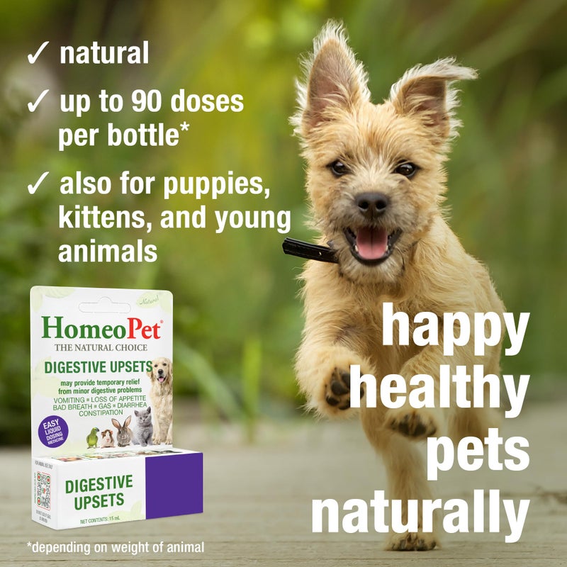 HomeoPet Digestive Upsets, Safe, Gentle, and Natural Cat and Dog Digestive Support, 15 Milliliters - Image 4